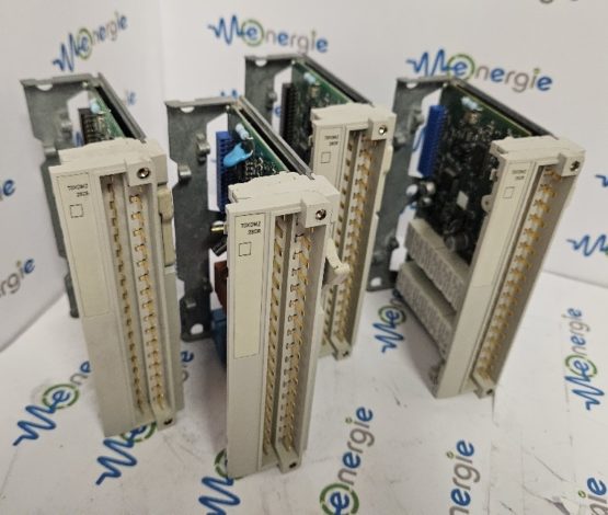 20241025_131034_resized